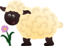 Happy Sheep