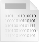 Binary File