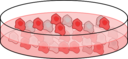 Cell Culture