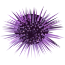 download Sea Urchin clipart image with 270 hue color