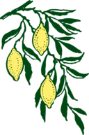 Lemon Branch