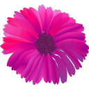 download Flower Pink clipart image with 0 hue color