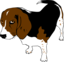 Copper The Beagle