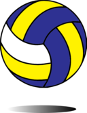 Volleyball