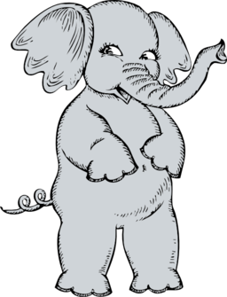 Girl Elephant