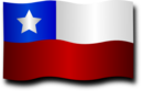 Chilean Flag 6