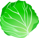 Cabbage