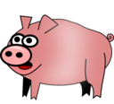 Pig