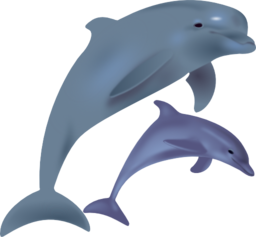 Dolphins Delfinai