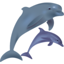 download Dolphins Delfinai clipart image with 0 hue color