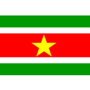 download Suriname clipart image with 0 hue color