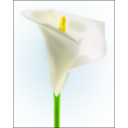 download The Lily clipart image with 0 hue color
