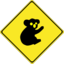 Warning Koalas Ahead