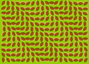 Optical Illusion 1