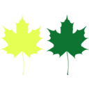 download Maple Leaves clipart image with 45 hue color