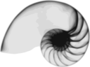 Nautilus