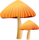 Orange Mushroom