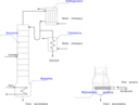 Distillation Column