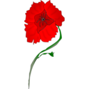 download Freeform Poppy clipart image with 0 hue color