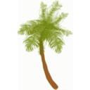 download Coconut Tree clipart image with 0 hue color