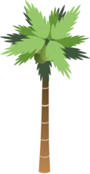 Palm Tree