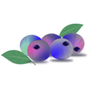 download Blueberry clipart image with 45 hue color