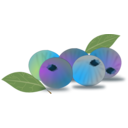 download Blueberry clipart image with 0 hue color