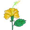 download Flower Hibiscus clipart image with 45 hue color