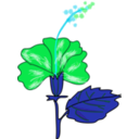 download Flower Hibiscus clipart image with 135 hue color