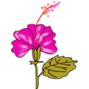 download Flower Hibiscus clipart image with 315 hue color