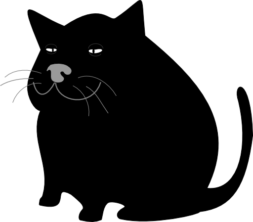 Black Cat Gato Negro