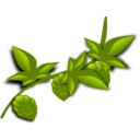 download Hops Illustrated clipart image with 315 hue color