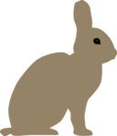 Rabbit By Rones