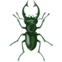 download Stag Beetle Lucanus Elephas clipart image with 90 hue color