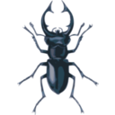 download Stag Beetle Lucanus Elephas clipart image with 180 hue color