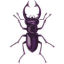 download Stag Beetle Lucanus Elephas clipart image with 270 hue color
