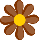 Brown Flower