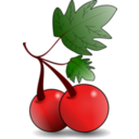 download Red Fruit  clipart image with 0 hue color