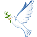 download Dove clipart image with 0 hue color
