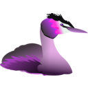 download Podiceps Cristatus clipart image with 270 hue color