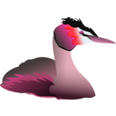 download Podiceps Cristatus clipart image with 315 hue color