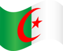 Algeria Flag 2