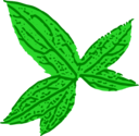 Green Leaf