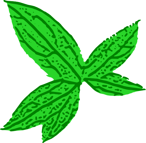 Green Leaf Clipart I2clipart Royalty Free Public Domain Clipart