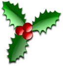 Christmas 003