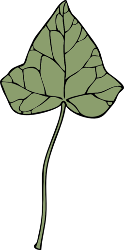 Ivy Leaf 7