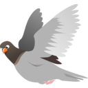 download A Flying Pigeon clipart image with 0 hue color