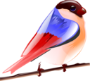 Bird Icon