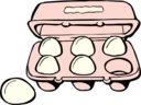 Carton Of Eggs