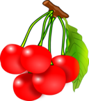 Cherries